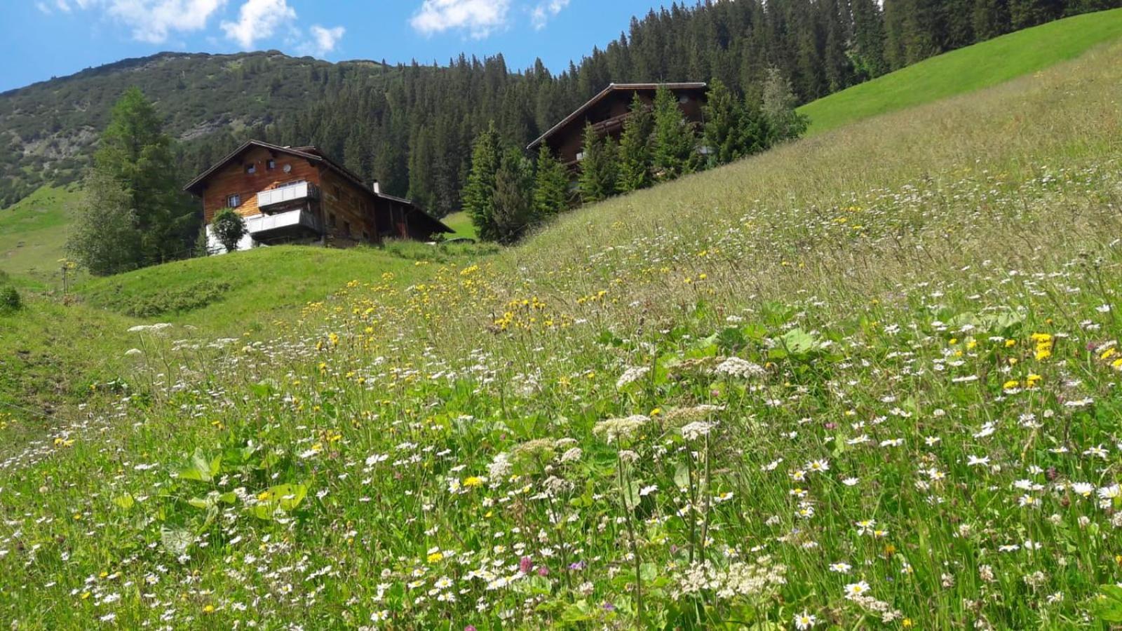 Haus Sonnenschein Apartman Warth  Kültér fotó